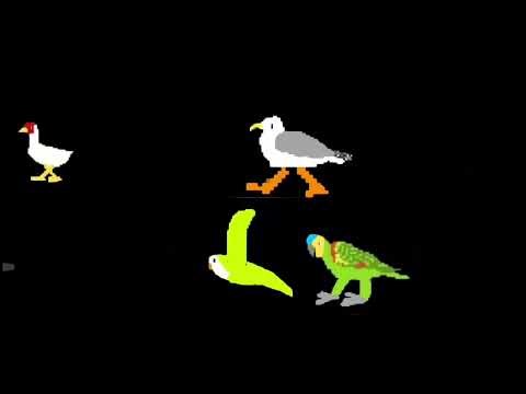 Argentine animals birds ‪@TheKidsPictureShow‬