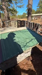 Training quail recall set up #midnightkenneltrainingtips #midnightkennelwintertraining #midnightkenneltraining | Midnight Kennel