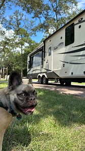 2.4K reactions · 97 comments | RVing is just “comfort camping”! 藍...