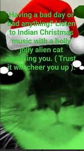 Alien cat