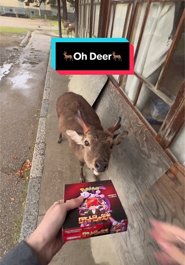 Oh Deer! Exploring Pokémon Cards and Mewtwo