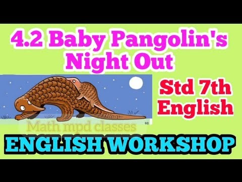 4.2 Baby Pangolin's Night Out English Workshop | Class 7th English | Question Answer