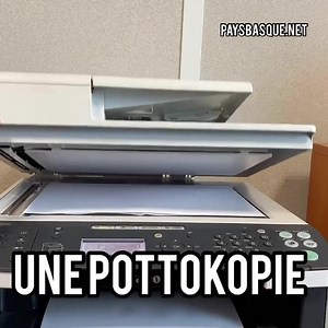 23K views · 412 reactions | Def. : Une pottokopie Faire une photocopie d'un pottok Maintenant, vous savez ! | Pays basque | Facebook