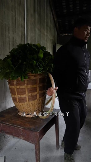 冬吃蘿蔔夏吃姜，蘿蔔乾是一種獨具風味的易保存乾蔬菜，可以炒著吃、涼拌#我的鄉村生活 #乡村守护人 #我的鄉村生活 #田园生活 #我的乡村生活 | 胡肖肖