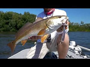 Yo-Zuri 3D Crystal Minnow Real Colors