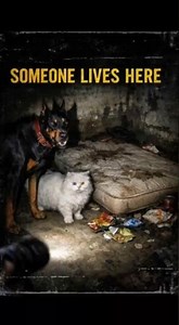 🎬 Part 6: Someone Has Been Living In My Basement... 🛌😱 #shorts