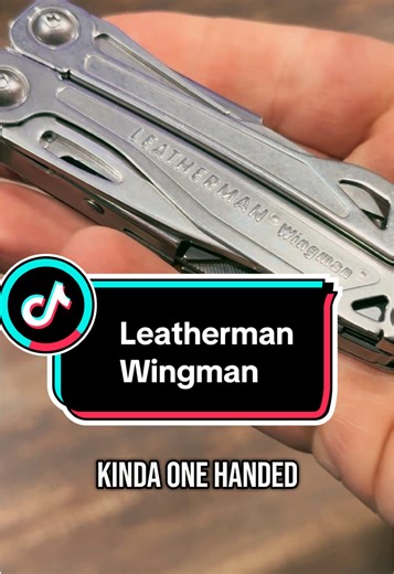 BarbarianBraunny on TikTok