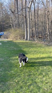 Earl Slick (official) on Reels