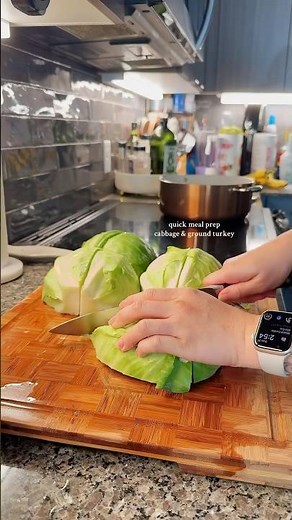 quick meal prep – cabbage & ground turkey