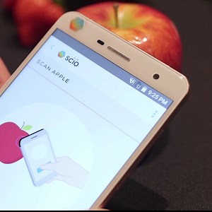 This phone can spot bad apples (someone call Brian Tong ). | CNET