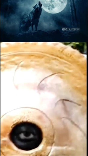 Mata dari dalam batu#videohoror #waktuhoror #reelsfypシ