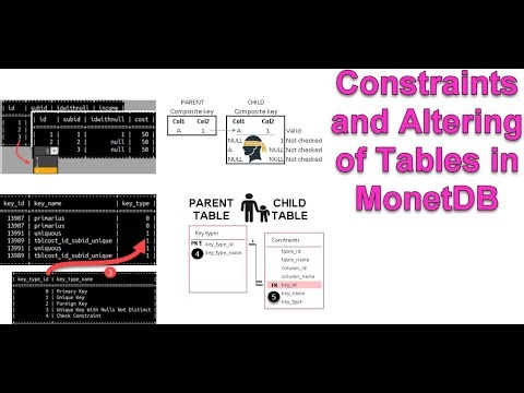 0320 Constraints and Altering of Tables in MonetDB