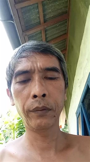 🔥 SERUPA TAPI TAK SAMA: Trichanthera Gigantea vs Keji Beling! Jangan Salah Kasih ke Kelinci! 🔥 Banyak yang bingung membedakan Trichanthera Gigantea (Ketum Ayam/Madre de Agua) dengan tanaman liar seperti Keji Beling (Pecah Beling). Meski sekilas mirip, manfaatnya BEDA TOTAL!' Mari kita bedah perbandingannya agar kelinci kesayangan tetap sehat dan tumbuh maksimal. 🌿 Trichanthera Gigantea (Pakan Super/Protein Tinggi) Fungsi: Pakan pokok/hijauan utama berprotein tinggi (22% up). Keunggulan: Kaya 