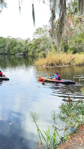 夫妻划船，一人一舟！👍😍👏