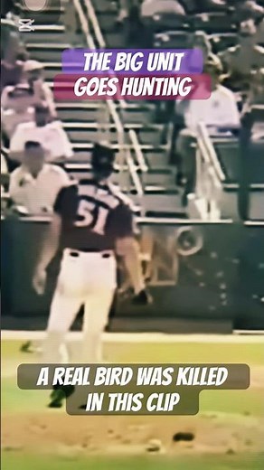 Randy Johnson hits BIRD?