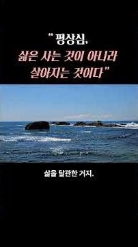 "평상심, 삶은 사는 것이 아니라 살아지는 것이다"