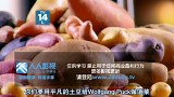 厨艺大师.MasterChef.US.S07E04.中文字幕.HR-HDTV.AAC.1024X576.x264
