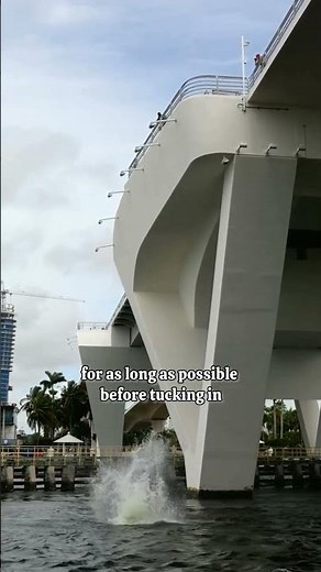 "13-Year-Old Dodds Diving Champion – The Craziest Death Dive Ever!"