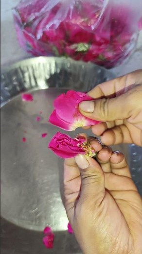 How to Make Rose Petals at Home | Easy Storage Method#RosePetals #Homemade #KitchenTips #EasyRecipe