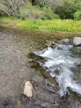 Red River New Mexico