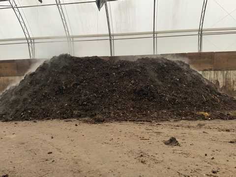 How to calibrate a compost thermometer