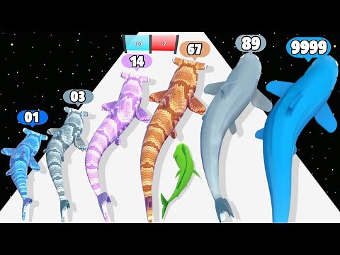Shark Run Evolution 3D - Level Up Shark Max Level Gameplay (New Update) Part 2