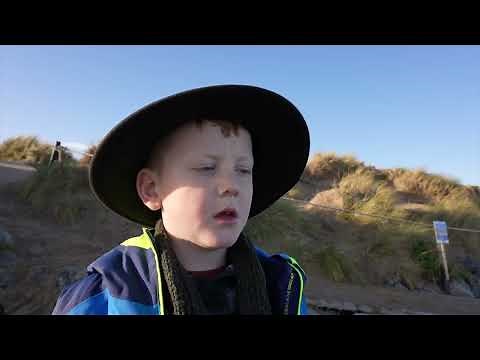 Sonny's Dream 2023 Daoirí Farrell