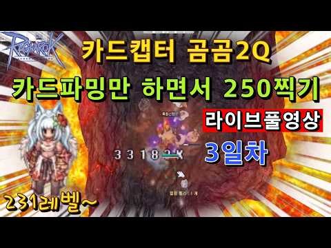 챕터2 카드 달달하게 먹어볼까나?