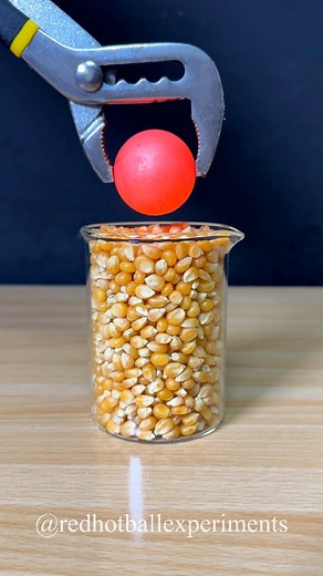 RHCB vs Popcorn 🍿🌽😱 #satisfying #experiment #science #rhcb #asmrvideo #popcorn | Red Hot Ball Experiments