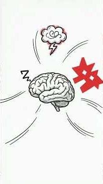 What is ADHD? The Truth About How the ADHD Brain Actually Works