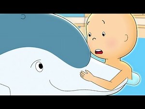 Caillou and the Dolphin ★ Funny Animated Caillou | Cartoons for kids | Caillou
