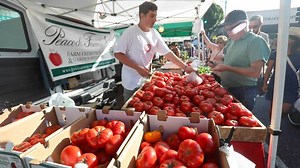 Tour the Downtown SLO Farmers Market