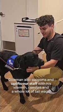 Introducing The Children's Place full-time facility dog: Duo Dog Coleman!