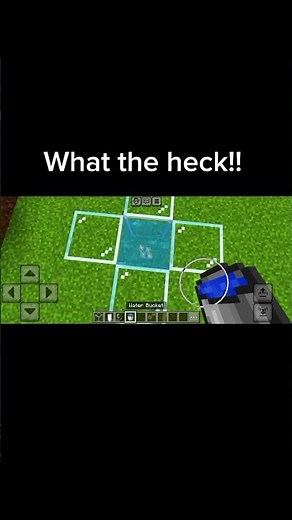 What the heck!! ☠️🤣