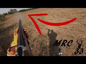 SUPERBE SCÈNE, TIR D'UN SANGLIER AU CALIBRE 20 EN BATTUE | MRC 33 #chasse #sanglier #tir #fusil