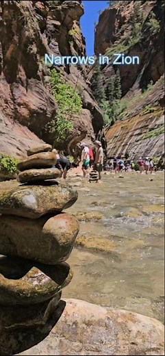 The Narrows: Zion National Park's best Hike.#hiking #travel #nature.