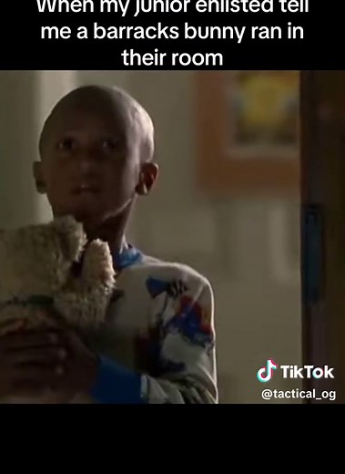 Military Barracks Bunny: A Closer Look into a Unique Community Phenomenon