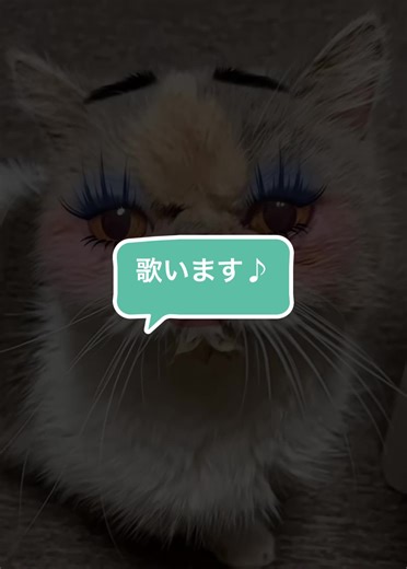 #猫 #さそり座の女 #歌う猫