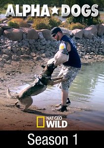 Alpha Dogs: Money Dog