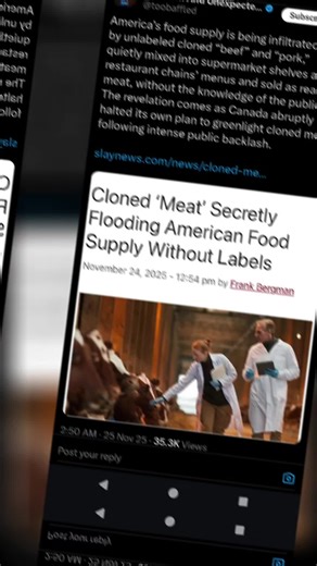 Lightbearer contract (@freedomcries)’s videos with Busted - Living Legends