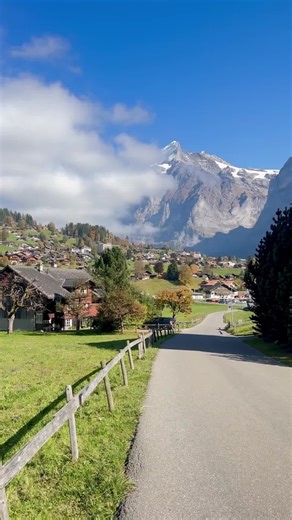 Experience Serene Green Countryside and Birdsong