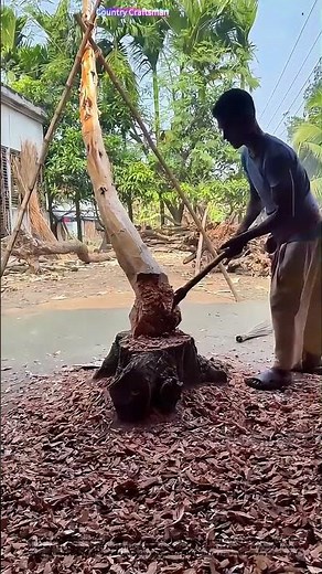 Chopping Tradition: How Hand - Ax Woodworking Preserves Ancient Craft Skills