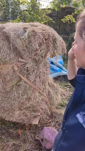 Paddling pool hack for keeping your bales dry! #PoolHack #paddlingpool #haybales #BaleCover | No Verbal Filter