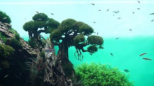 384K views · 3K reactions | The new exhibition at Loro Parque is...