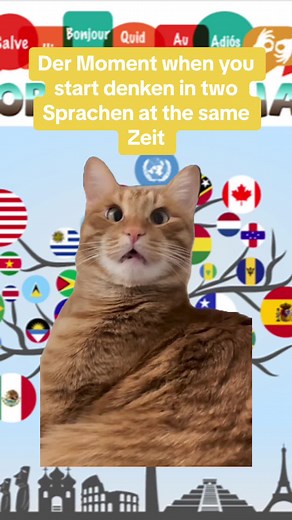 Learning German Memes and Funny Moments Compilation