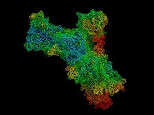 Plasma membrane Ca2  ATPase - Alchetron, the free social encyclopedia