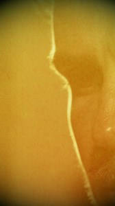 📣 The one you've all been waiting for... | Icons Series