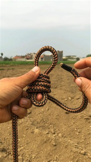Amazing Fixed Loop Knot Tutorial #knot #ytshorts 👍