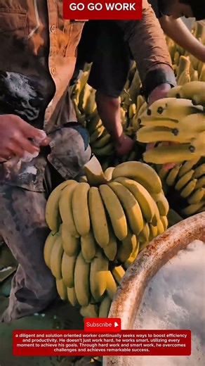 Satisfying Banana Cutting and Harvesting Technique #farmer