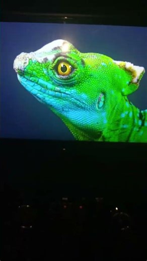 #youtubeshorts Mahindra XUV500 Android studio front and back camera